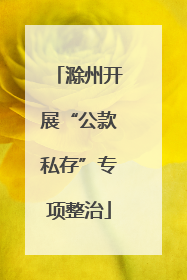 滁州开展“公款私存”专项整治