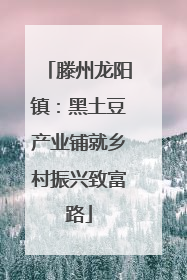 滕州龙阳镇：黑土豆产业铺就乡村振兴致富路