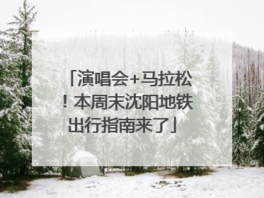 演唱会+马拉松！本周末沈阳地铁出行指南来了