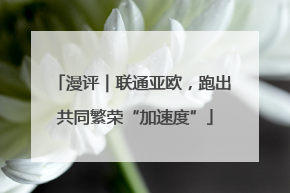 漫评｜联通亚欧，跑出共同繁荣“加速度”