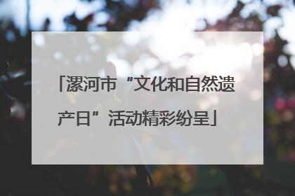 漯河市“文化和自然遗产日”活动精彩纷呈