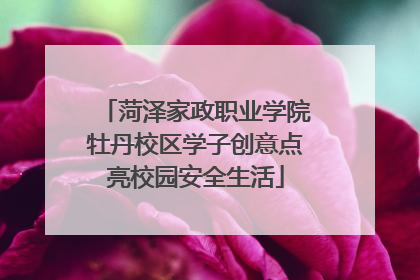 菏泽家政职业学院牡丹校区学子创意点亮校园安全生活