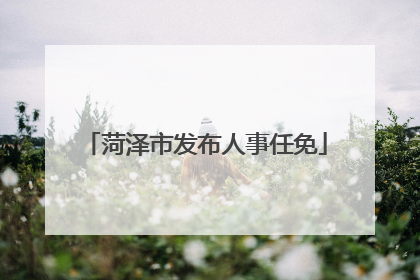 菏泽市发布人事任免
