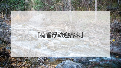 荷香浮动迎客来