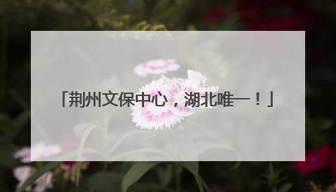 荆州文保中心，湖北唯一！