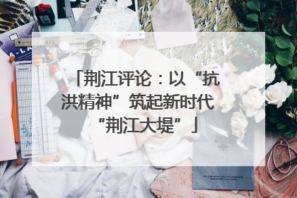 荆江评论：以“抗洪精神”筑起新时代“荆江大堤”