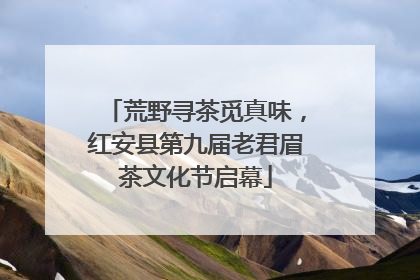 荒野寻茶觅真味，红安县第九届老君眉茶文化节启幕