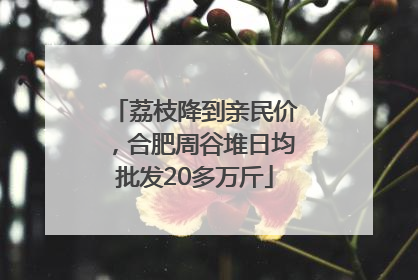 荔枝降到亲民价，合肥周谷堆日均批发20多万斤