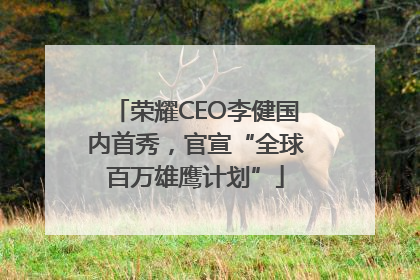 荣耀CEO李健国内首秀，官宣“全球百万雄鹰计划”