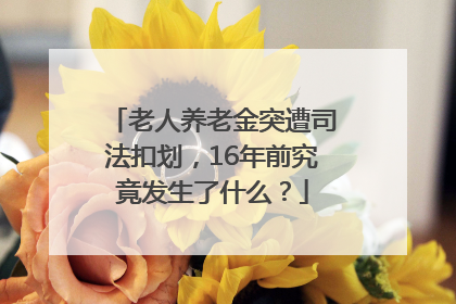 老人养老金突遭司法扣划，16年前究竟发生了什么？