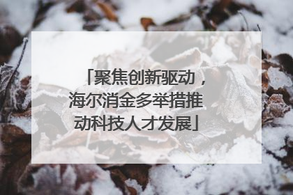 聚焦创新驱动，海尔消金多举措推动科技人才发展