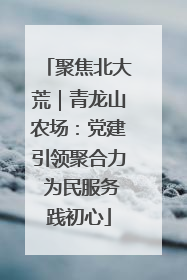 聚焦北大荒｜青龙山农场：党建引领聚合力 为民服务践初心