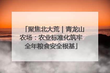 聚焦北大荒｜青龙山农场：农业标准化筑牢全年粮食安全根基
