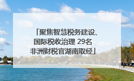 聚焦智慧税务建设、国际税收治理 29名非洲财税官湖南取经