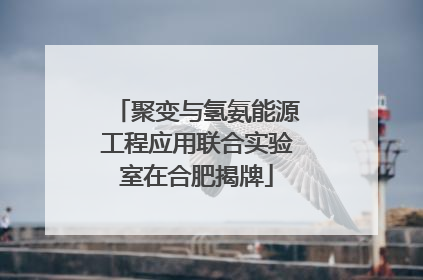 聚变与氢氨能源工程应用联合实验室在合肥揭牌