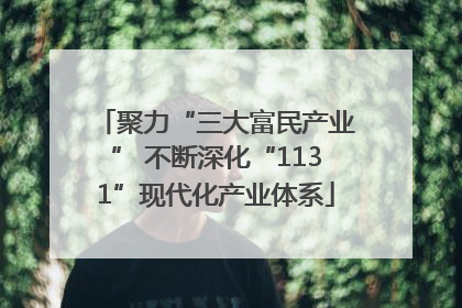 聚力“三大富民产业” 不断深化“1131”现代化产业体系