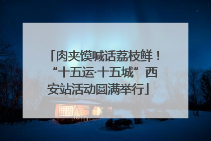 肉夹馍喊话荔枝鲜！“十五运·十五城”西安站活动圆满举行