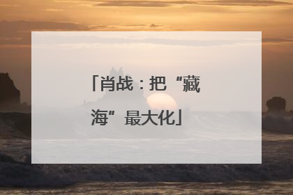 肖战：把“藏海”最大化