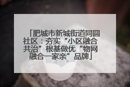 肥城市新城街道同圆社区：夯实“小区融合共治”根基做优“物网融合一家亲”品牌