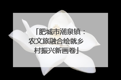 肥城市潮泉镇：农文旅融合绘就乡村振兴新画卷