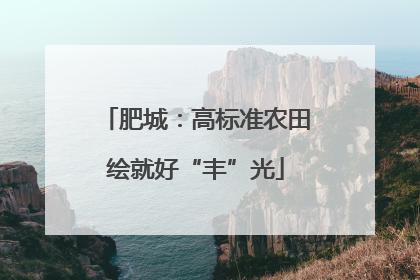 肥城：高标准农田绘就好“丰”光