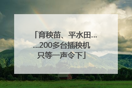 育秧苗、平水田……200多台插秧机只等一声令下