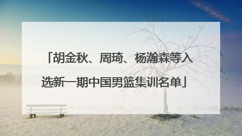 胡金秋、周琦、杨瀚森等入选新一期中国男篮集训名单