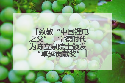 致敬“中国锂电之父”，宁德时代为陈立泉院士颁发“卓越贡献奖”