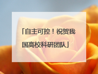自主可控！祝贺我国高校科研团队