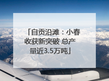 自贡沿滩：小春收获新突破 总产量近3.5万吨