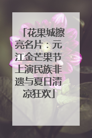 花果城擦亮名片：元江金芒果节上演民族非遗与夏日清凉狂欢
