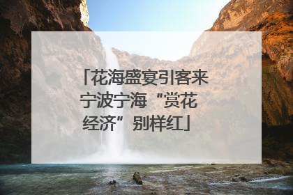 花海盛宴引客来 宁波宁海“赏花经济”别样红