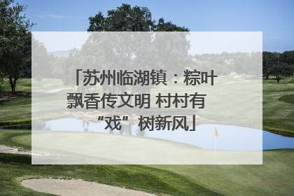 苏州临湖镇：粽叶飘香传文明 村村有“戏”树新风