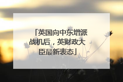 英国向中东增派战机后，英财政大臣最新表态