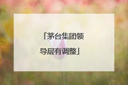 茅台集团领导层有调整