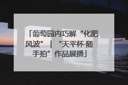 葡萄园内巧解“化肥风波”｜“天平杯·随手拍”作品展播