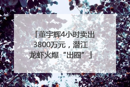 董宇辉4小时卖出3800万元，潜江龙虾火爆“出圈”