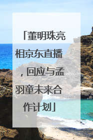 董明珠亮相京东直播，回应与孟羽童未来合作计划