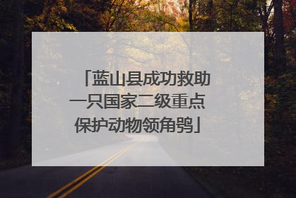 蓝山县成功救助一只国家二级重点保护动物领角鸮