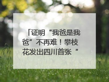 证明“我爸是我爸”不再难！攀枝花发出四川首张“户籍人口直系亲属关系谱”