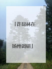 许昆林在扬州调研