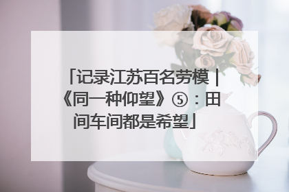 记录江苏百名劳模｜《同一种仰望》⑤：田间车间都是希望