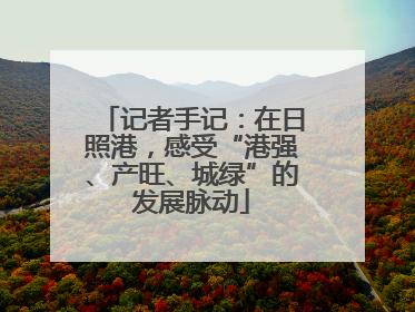 记者手记：在日照港，感受“港强、产旺、城绿”的发展脉动