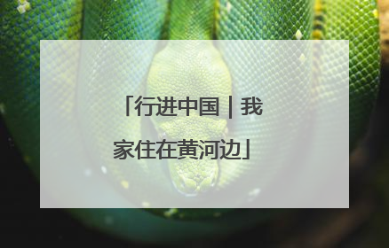 行进中国｜我家住在黄河边