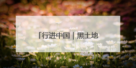 行进中国｜黑土地的“长期主义”