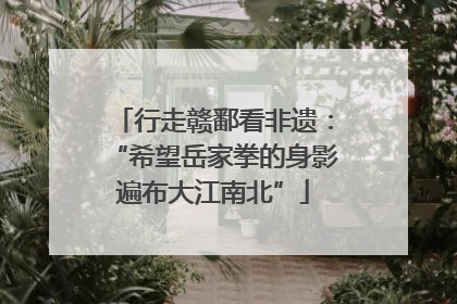 行走赣鄱看非遗：“希望岳家拳的身影遍布大江南北”
