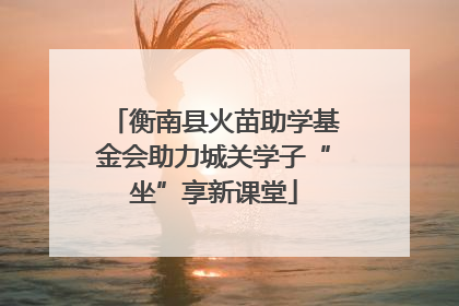 衡南县火苗助学基金会助力城关学子“坐”享新课堂