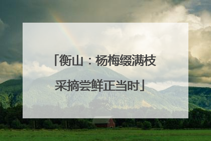 衡山：杨梅缀满枝 采摘尝鲜正当时