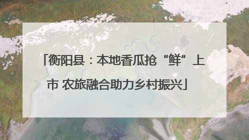 衡阳县：本地香瓜抢“鲜”上市 农旅融合助力乡村振兴