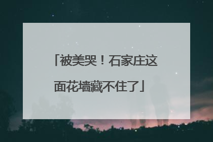 被美哭！石家庄这面花墙藏不住了
